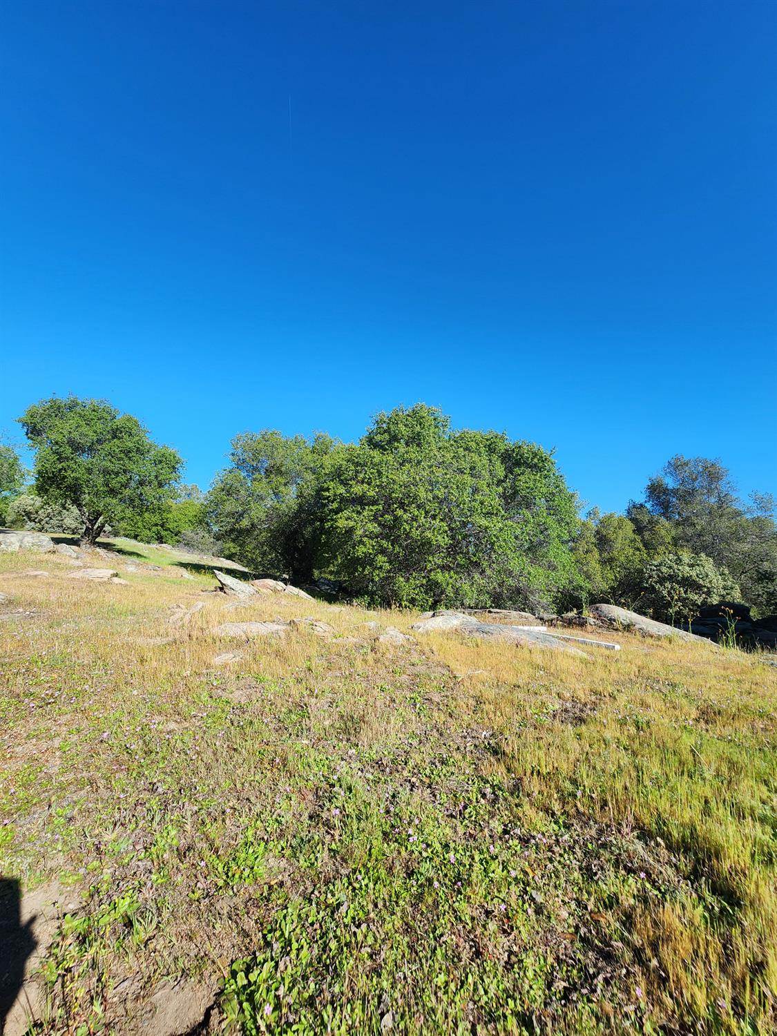 0 0 Rocky Ridge Road, Coarsegold, CA 93614