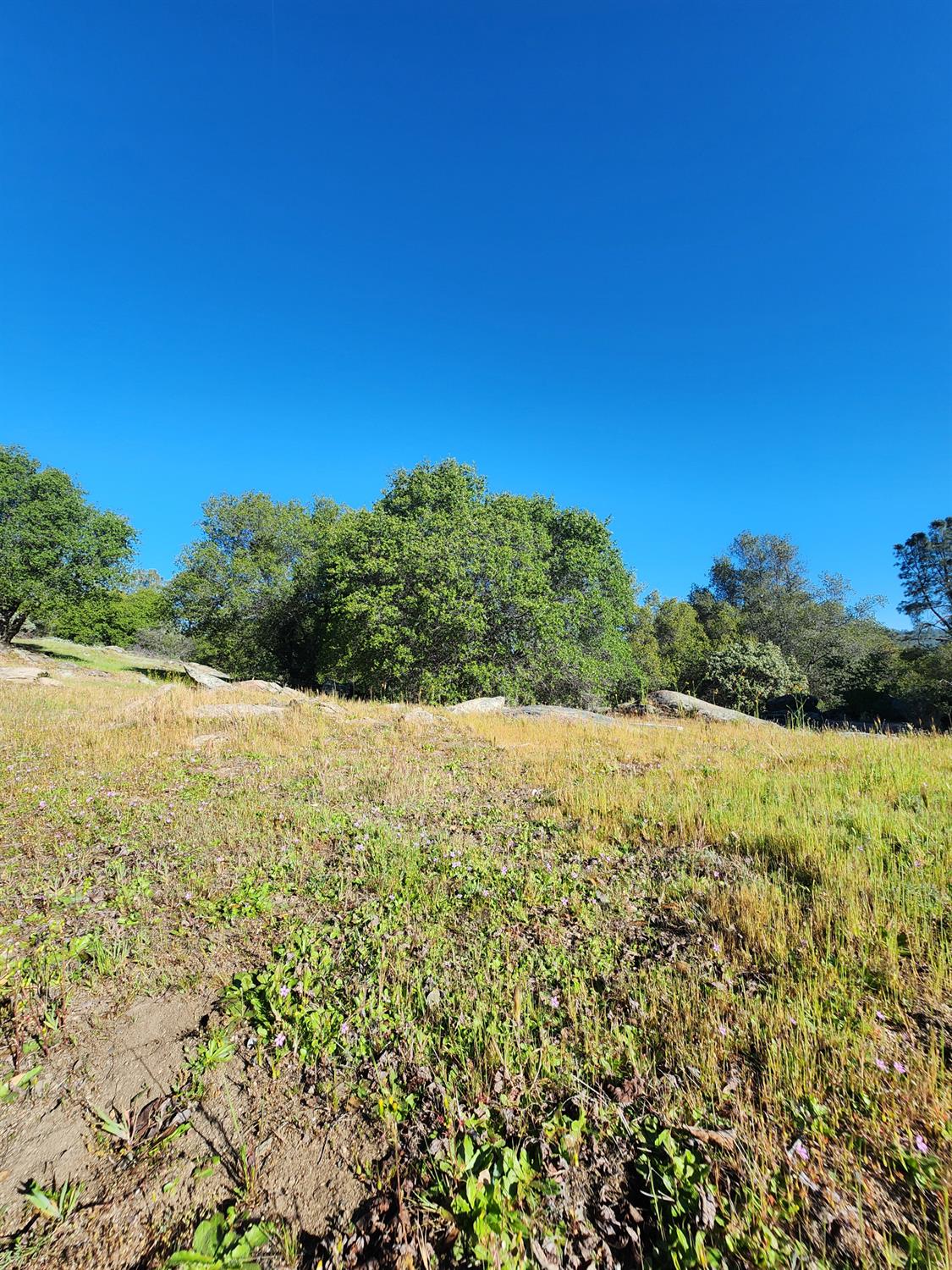 0 0 Rocky Ridge Road, Coarsegold, CA 93614
