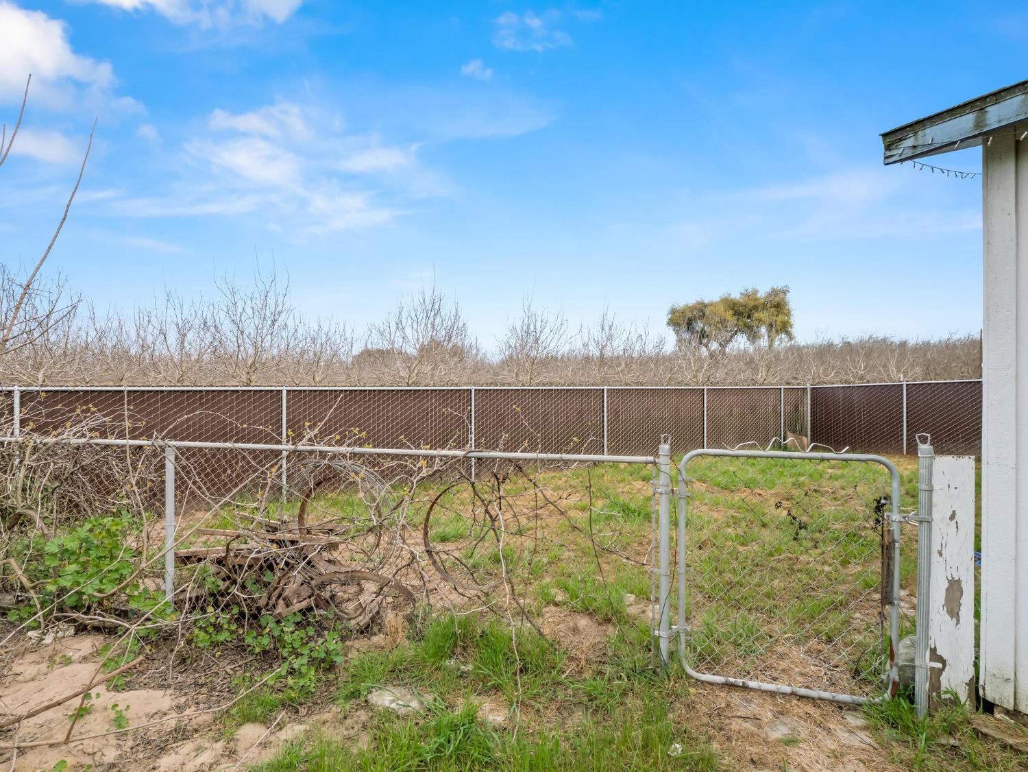 8552 Cairo Ave, Laton, CA 93242