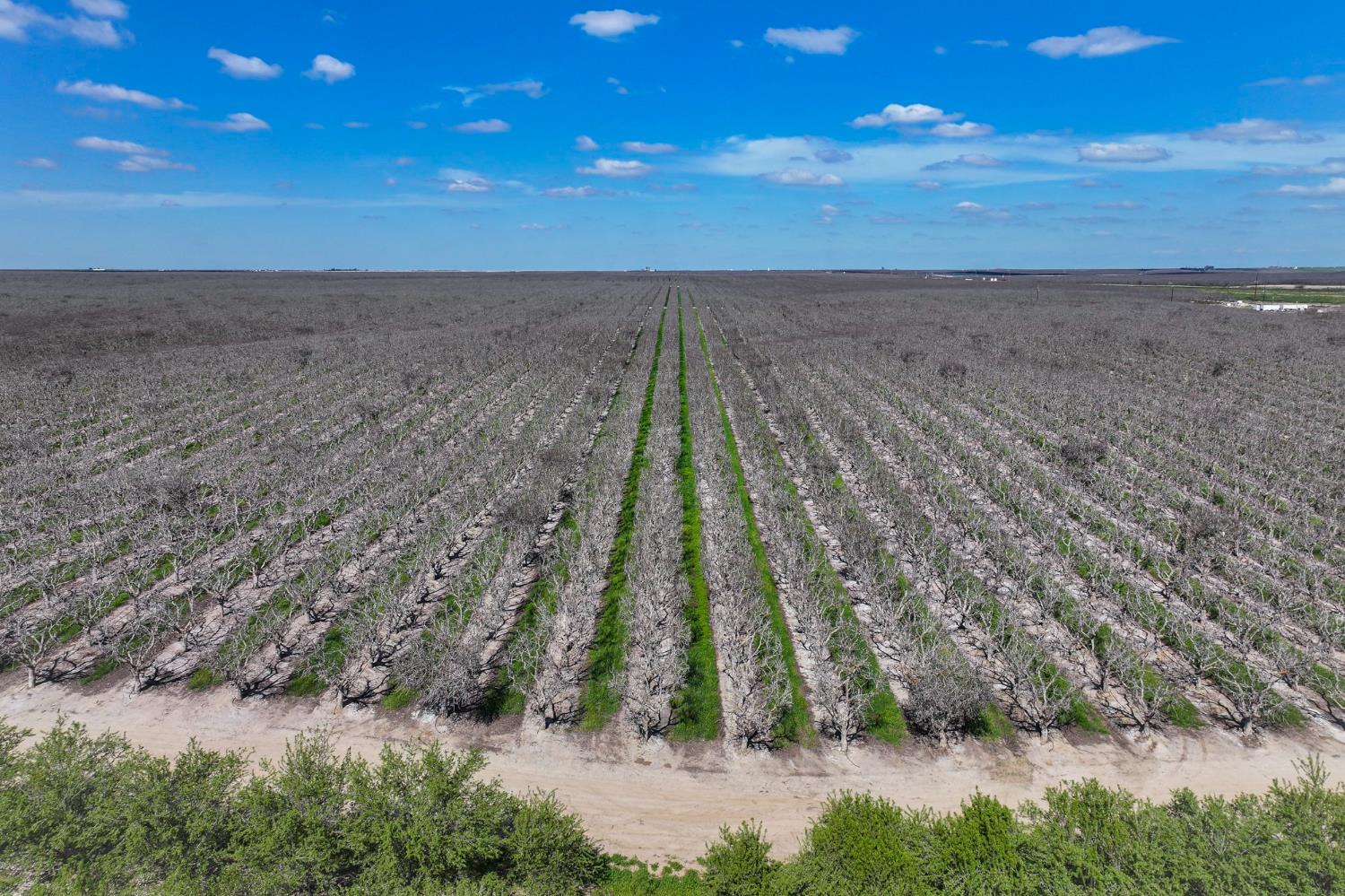 0 0 Kimberlina Rd, McFarland, CA 93250