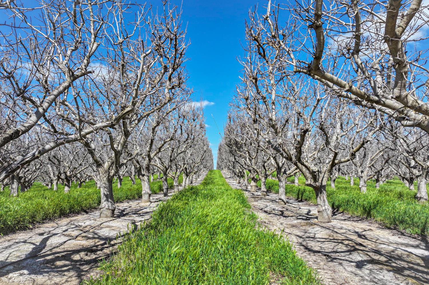 0 0 Kimberlina Rd, McFarland, CA 93250