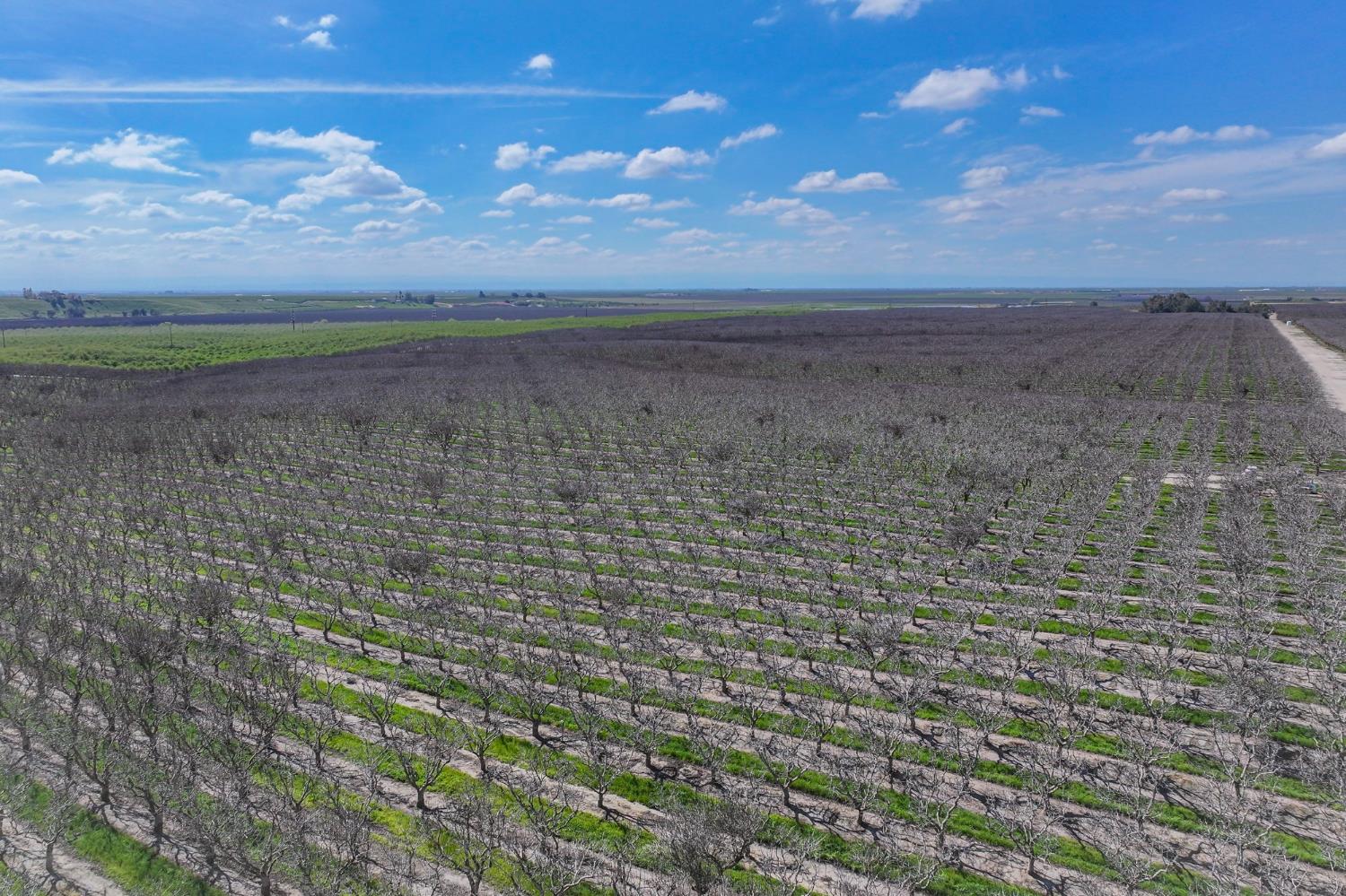 0 0 Kimberlina Rd, McFarland, CA 93250