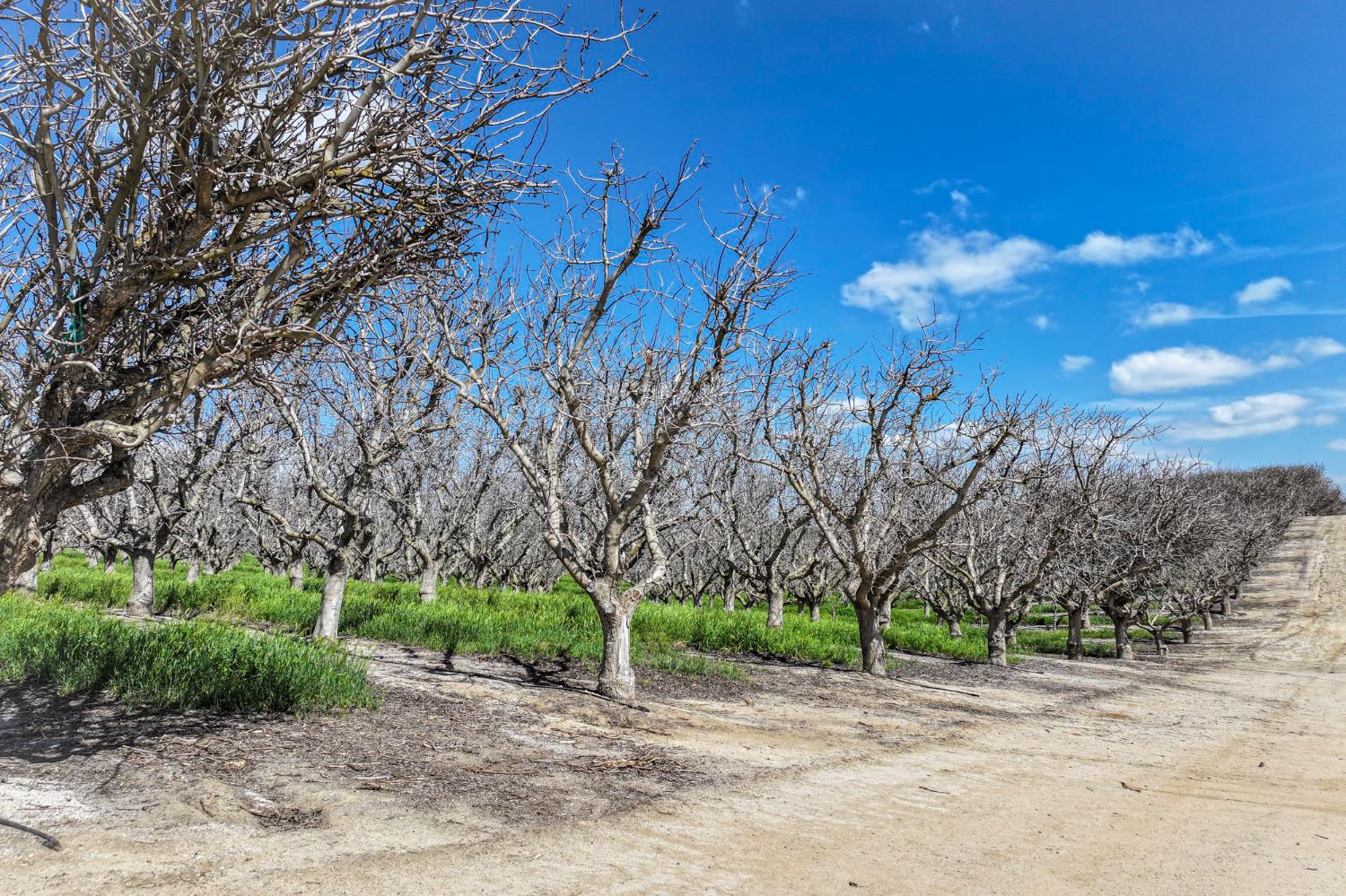 0 0 Kimberlina Rd, McFarland, CA 93250