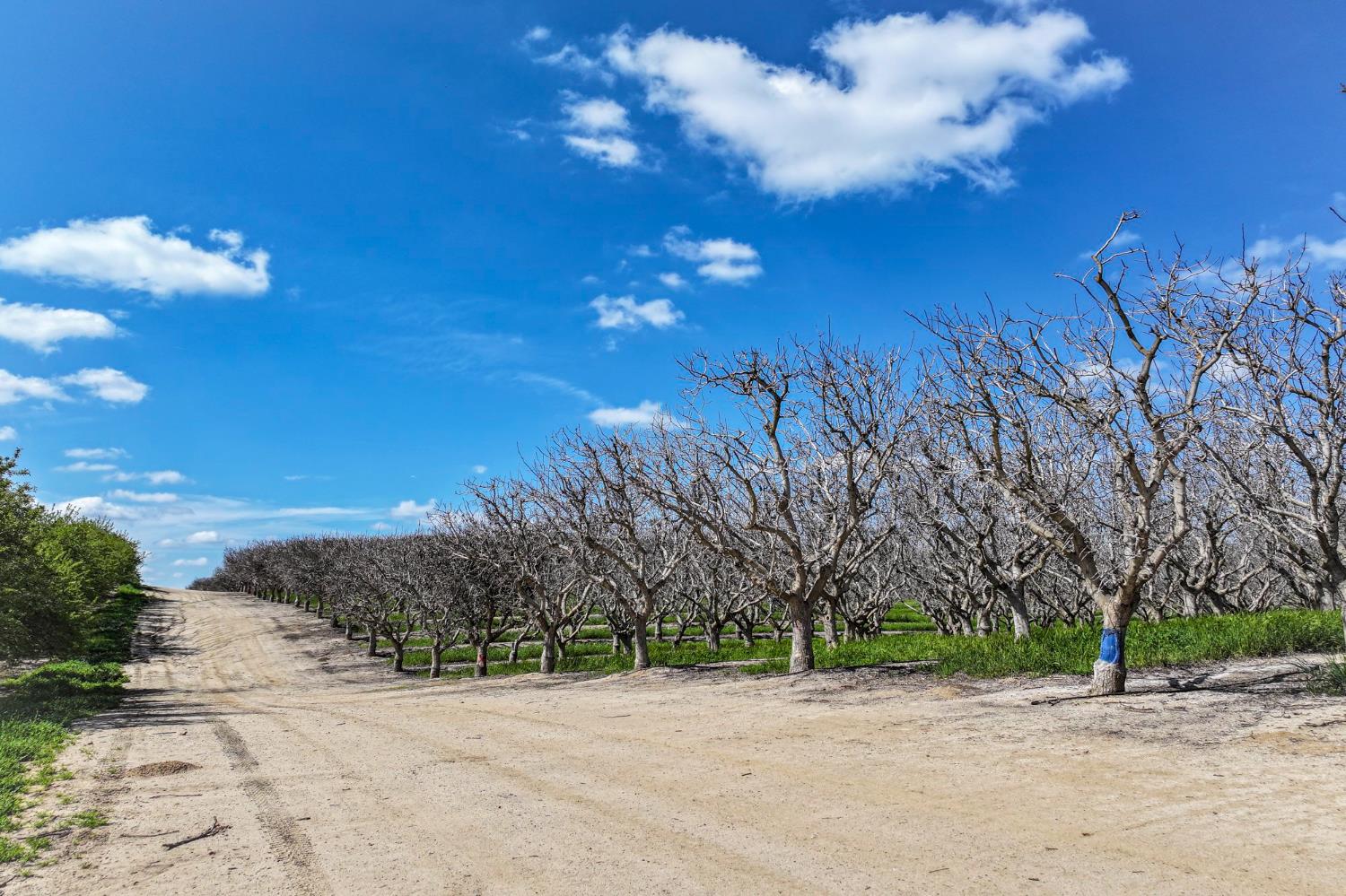 0 0 Kimberlina Rd, McFarland, CA 93250