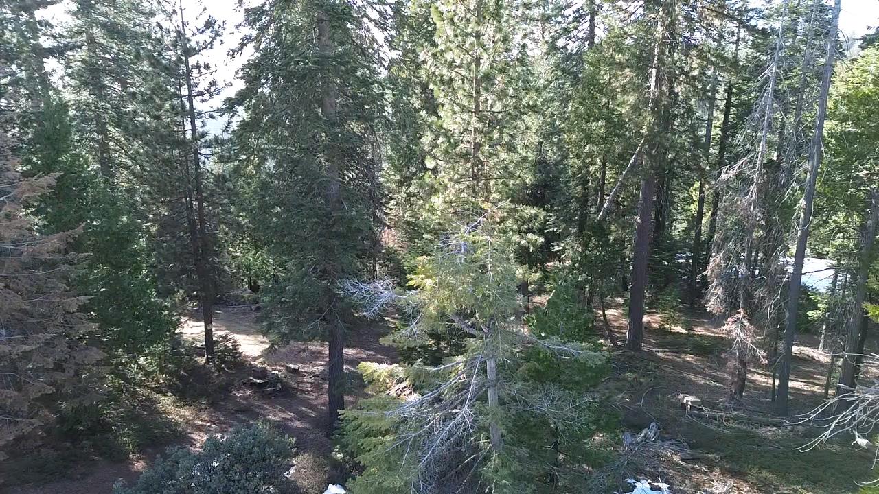 40672 Leopard Lilly Ln, Shaver Lake, CA 93664