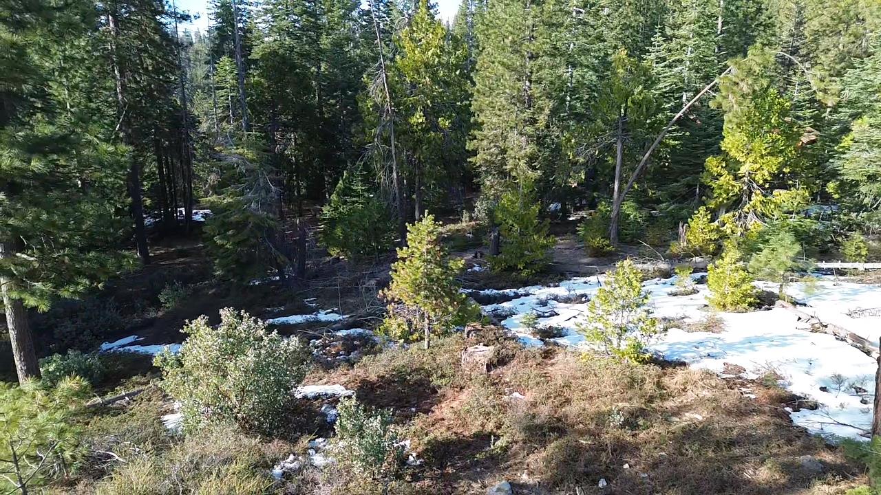 40672 Leopard Lilly Ln, Shaver Lake, CA 93664
