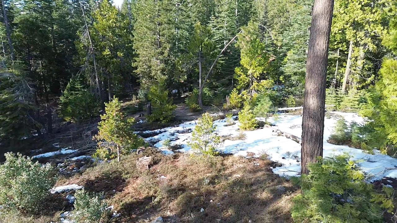 40672 Leopard Lilly Ln, Shaver Lake, CA 93664