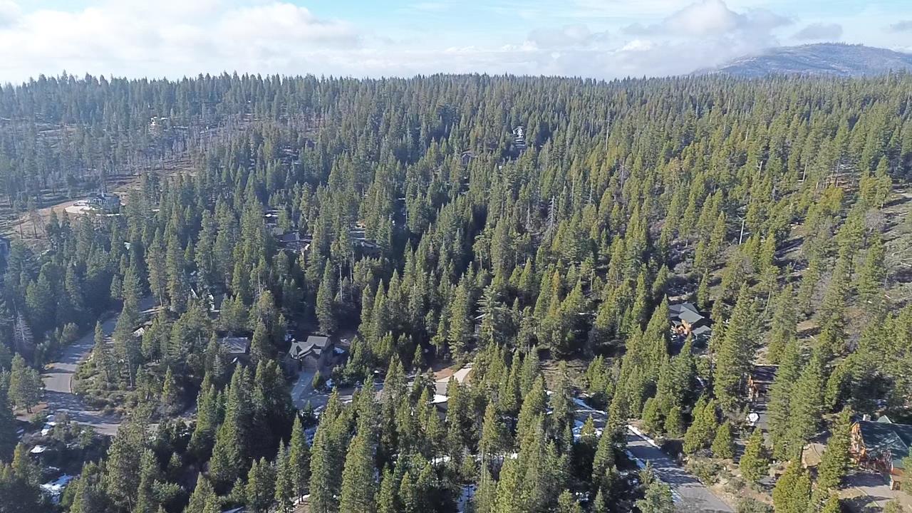 40672 Leopard Lilly Ln, Shaver Lake, CA 93664