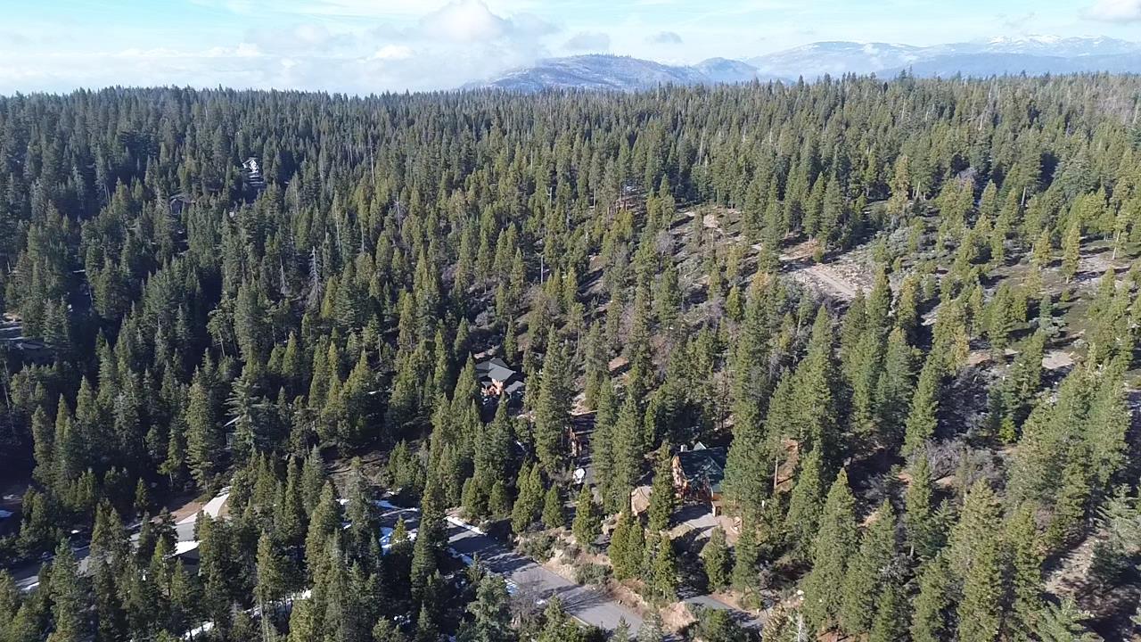 40672 Leopard Lilly Ln, Shaver Lake, CA 93664