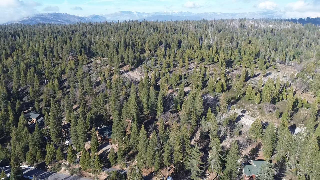 40672 Leopard Lilly Ln, Shaver Lake, CA 93664