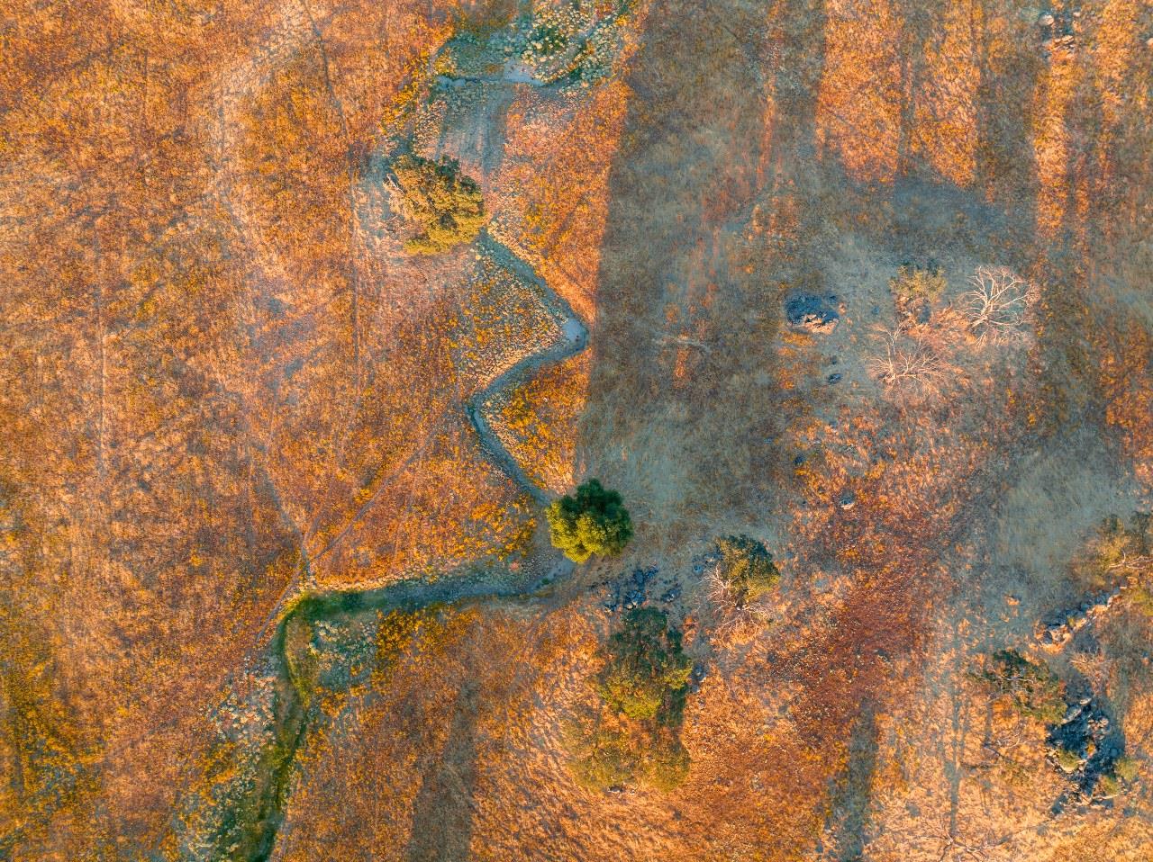 2553 Old Highway, Catheys Valley, CA 95306