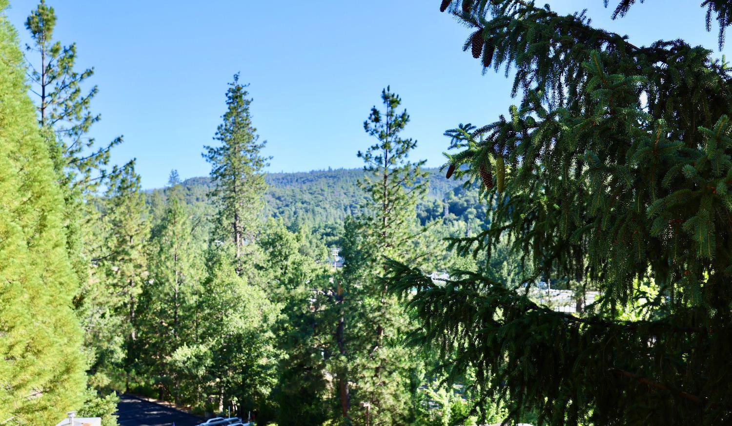 40547 Saddleback Rd, Bass Lake, CA 93604