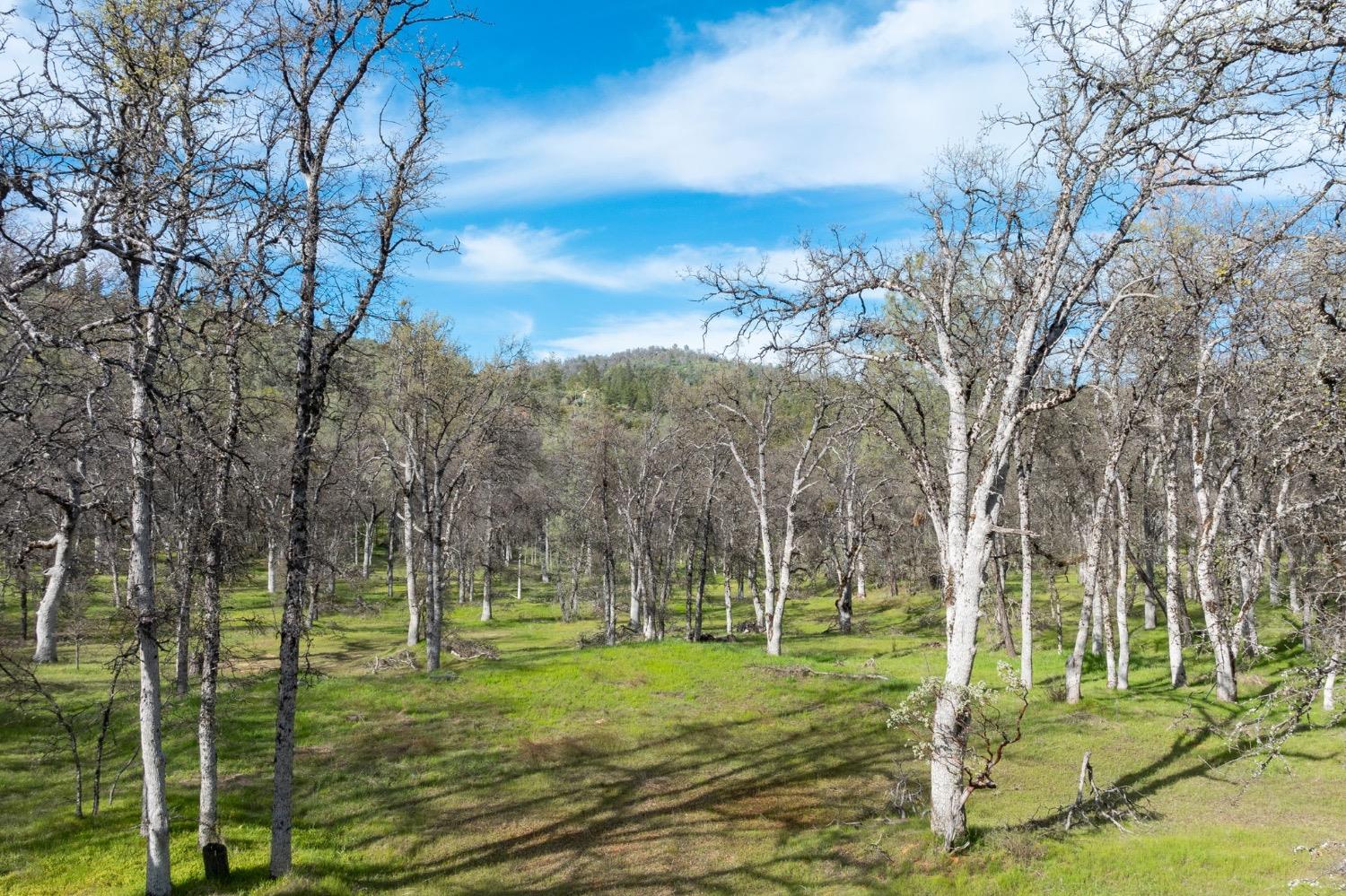 5328 E Whitlock Rd, Mariposa, CA 95338