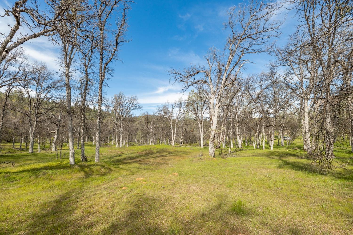 5328 E Whitlock Rd, Mariposa, CA 95338