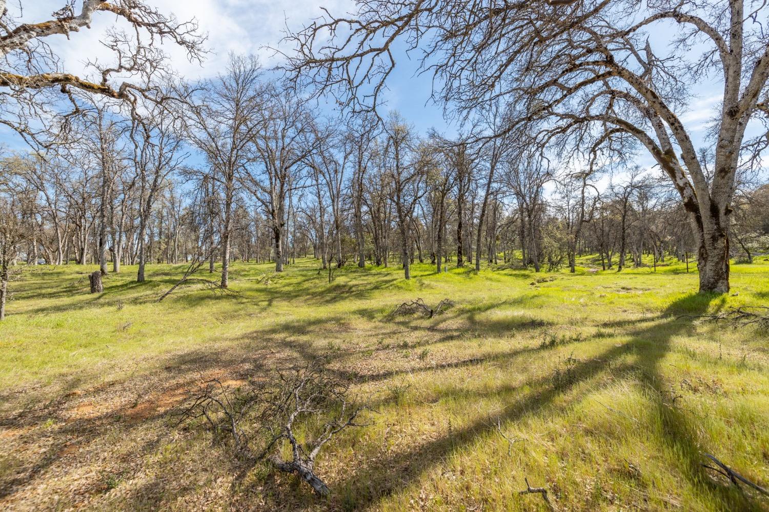 5328 E Whitlock Rd, Mariposa, CA 95338