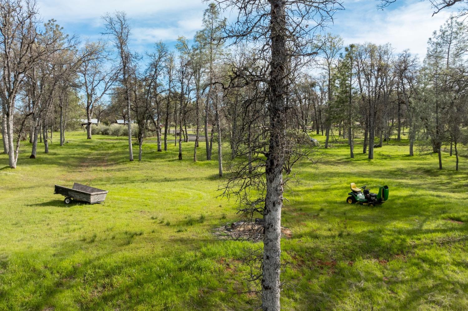 5328 E Whitlock Rd, Mariposa, CA 95338