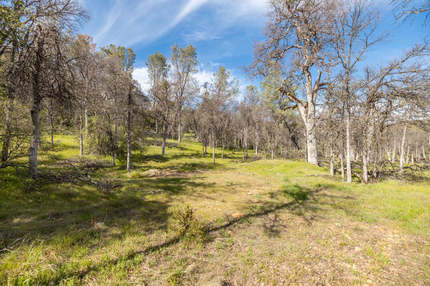 5328 E Whitlock Rd, Mariposa, CA 95338