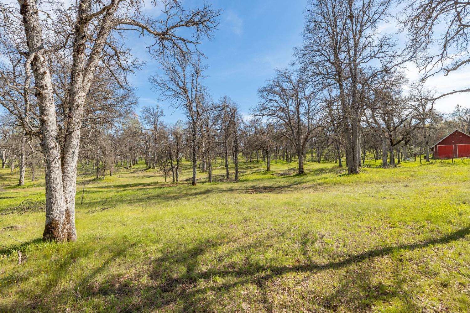 5328 E Whitlock Rd, Mariposa, CA 95338