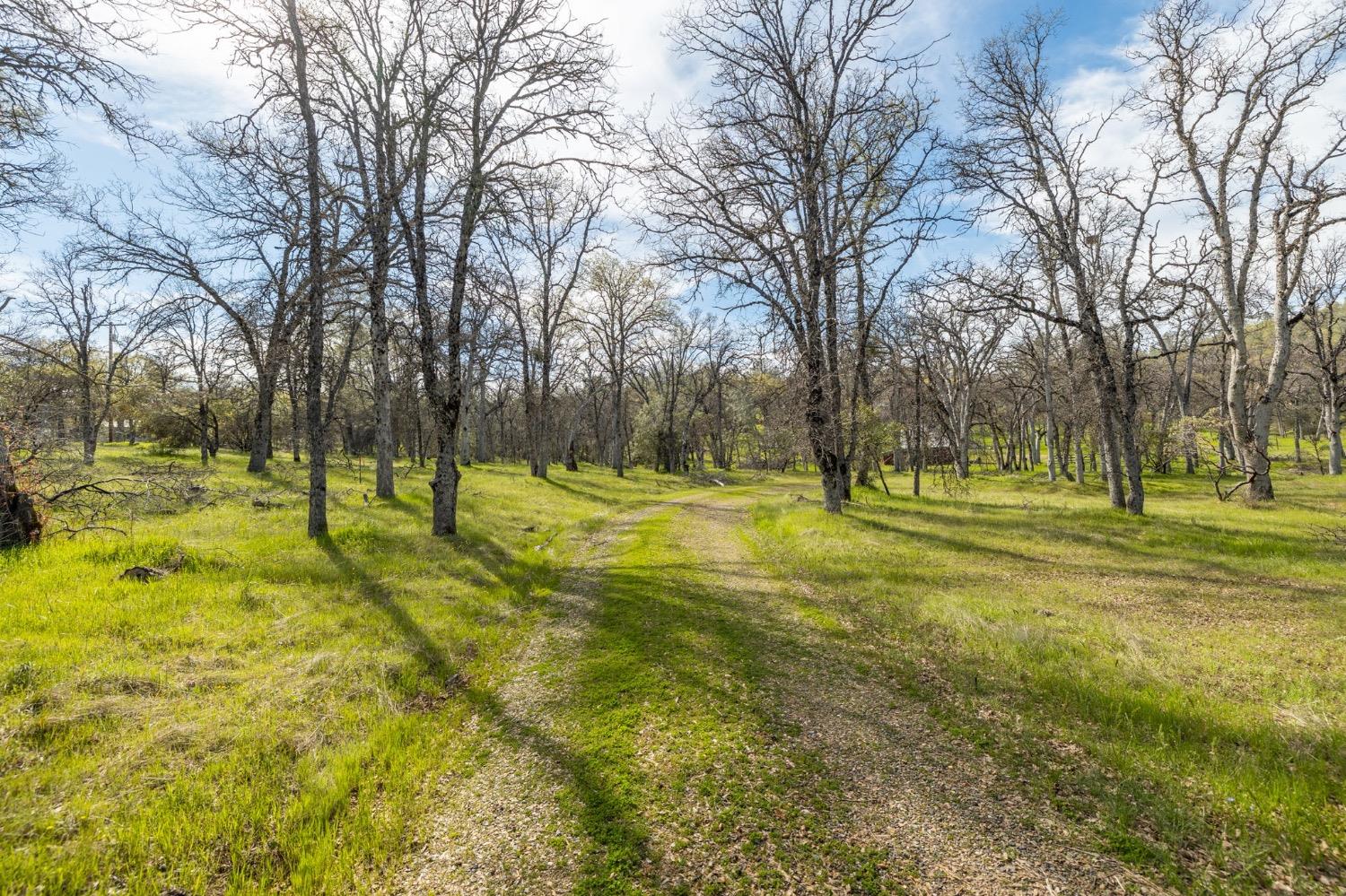 5328 E Whitlock Rd, Mariposa, CA 95338