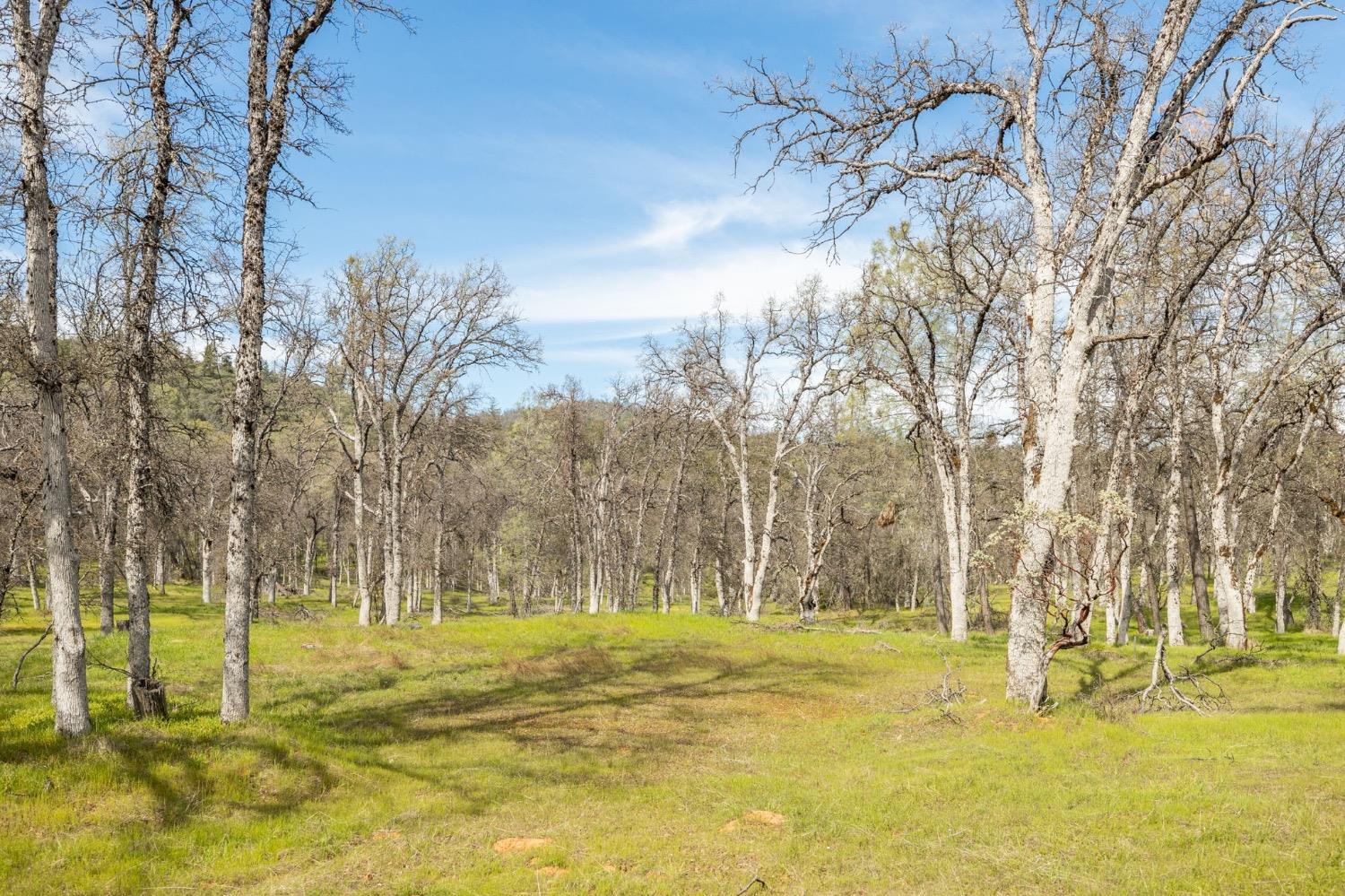 5328 E Whitlock Rd, Mariposa, CA 95338