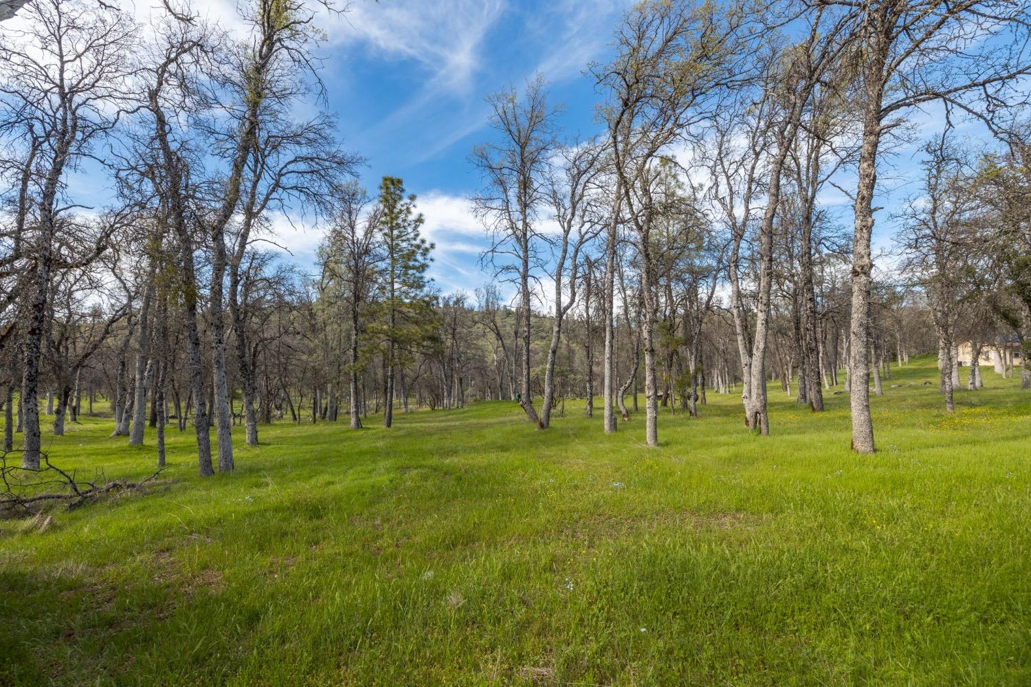 5328 E Whitlock Rd, Mariposa, CA 95338