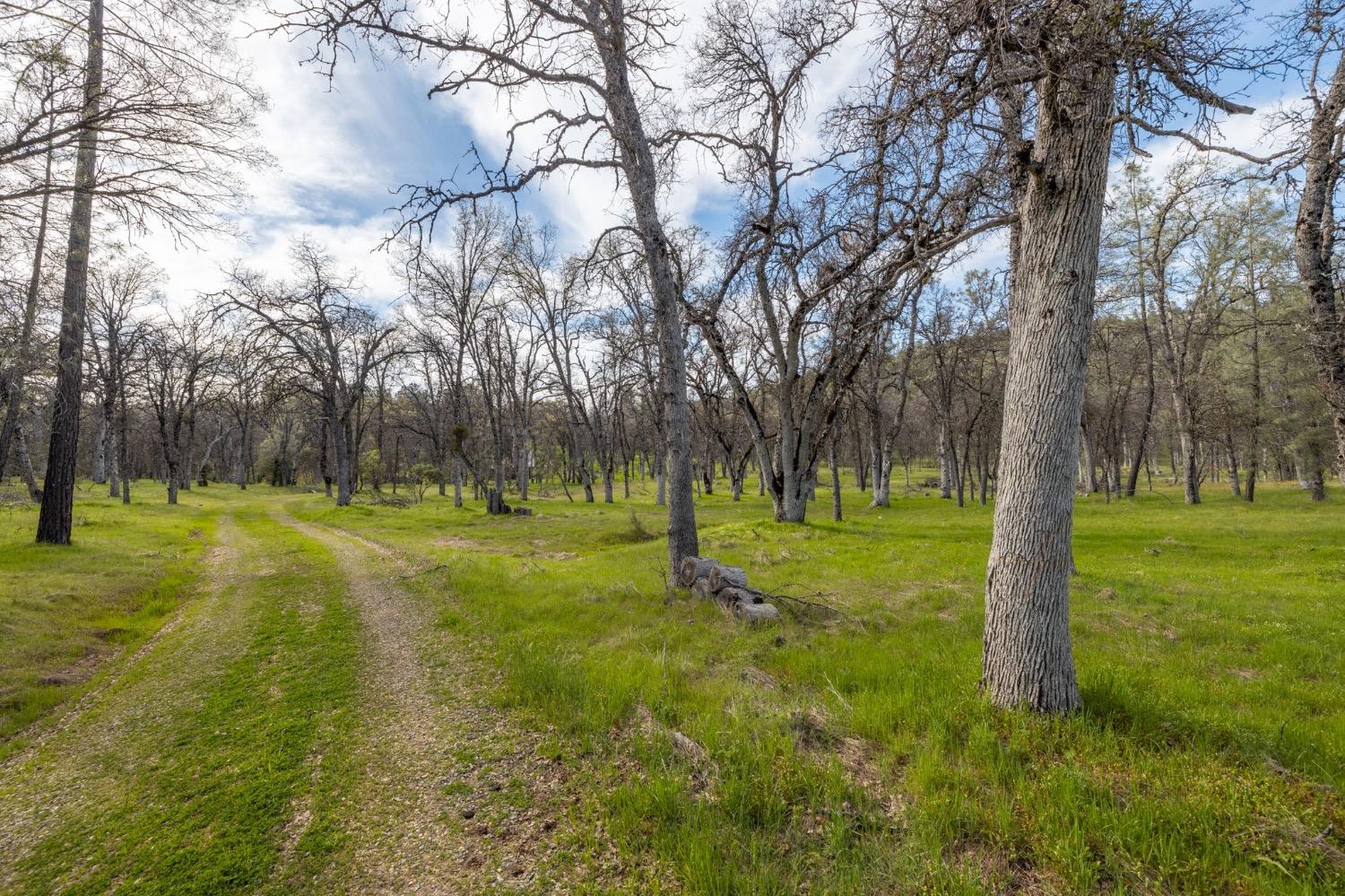 5328 E Whitlock Rd, Mariposa, CA 95338