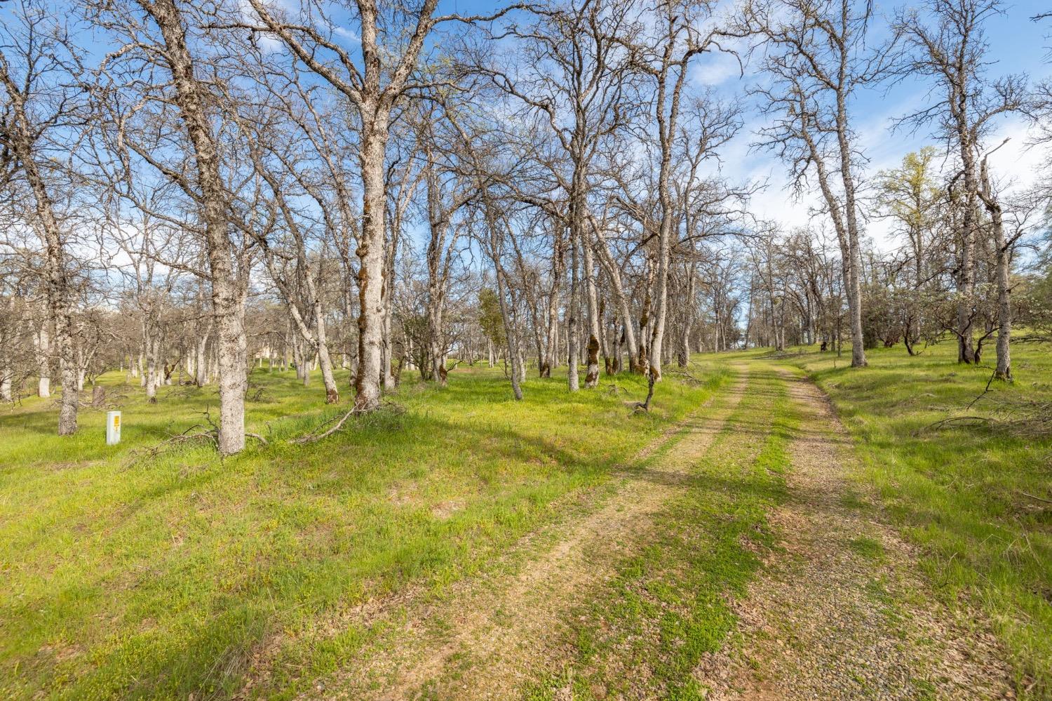 5328 E Whitlock Rd, Mariposa, CA 95338