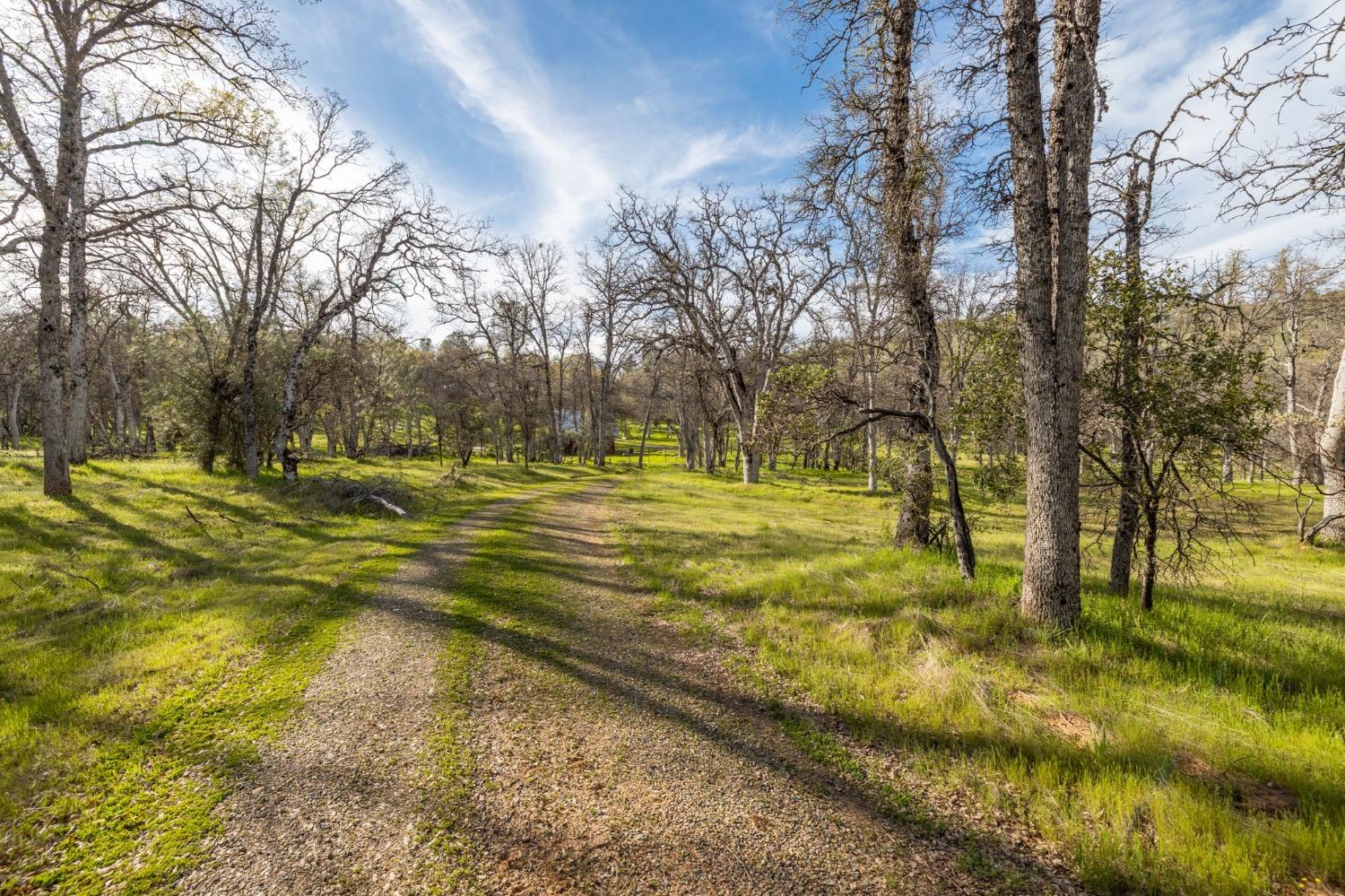 5328 E Whitlock Rd, Mariposa, CA 95338