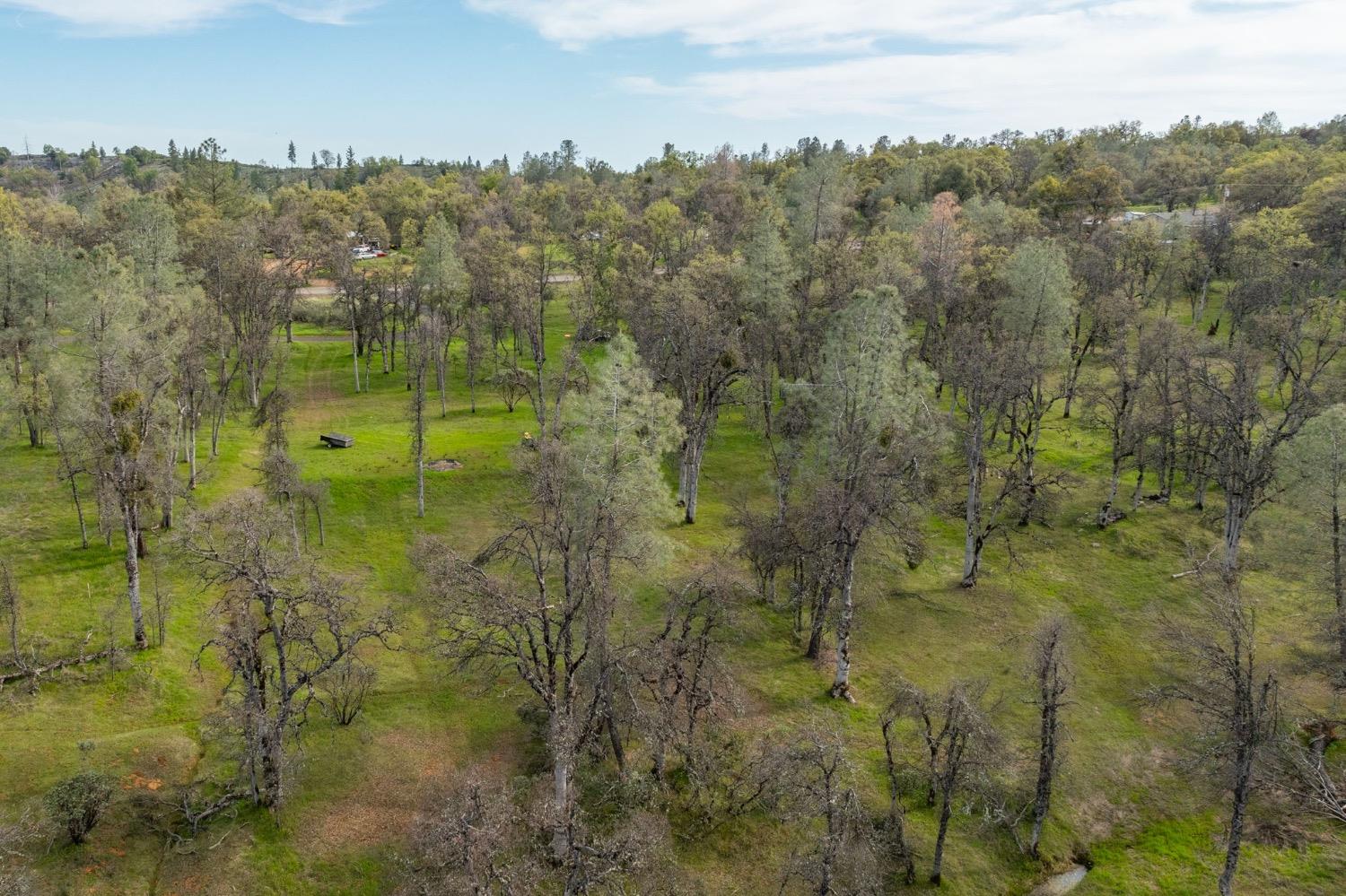 5328 E Whitlock Rd, Mariposa, CA 95338