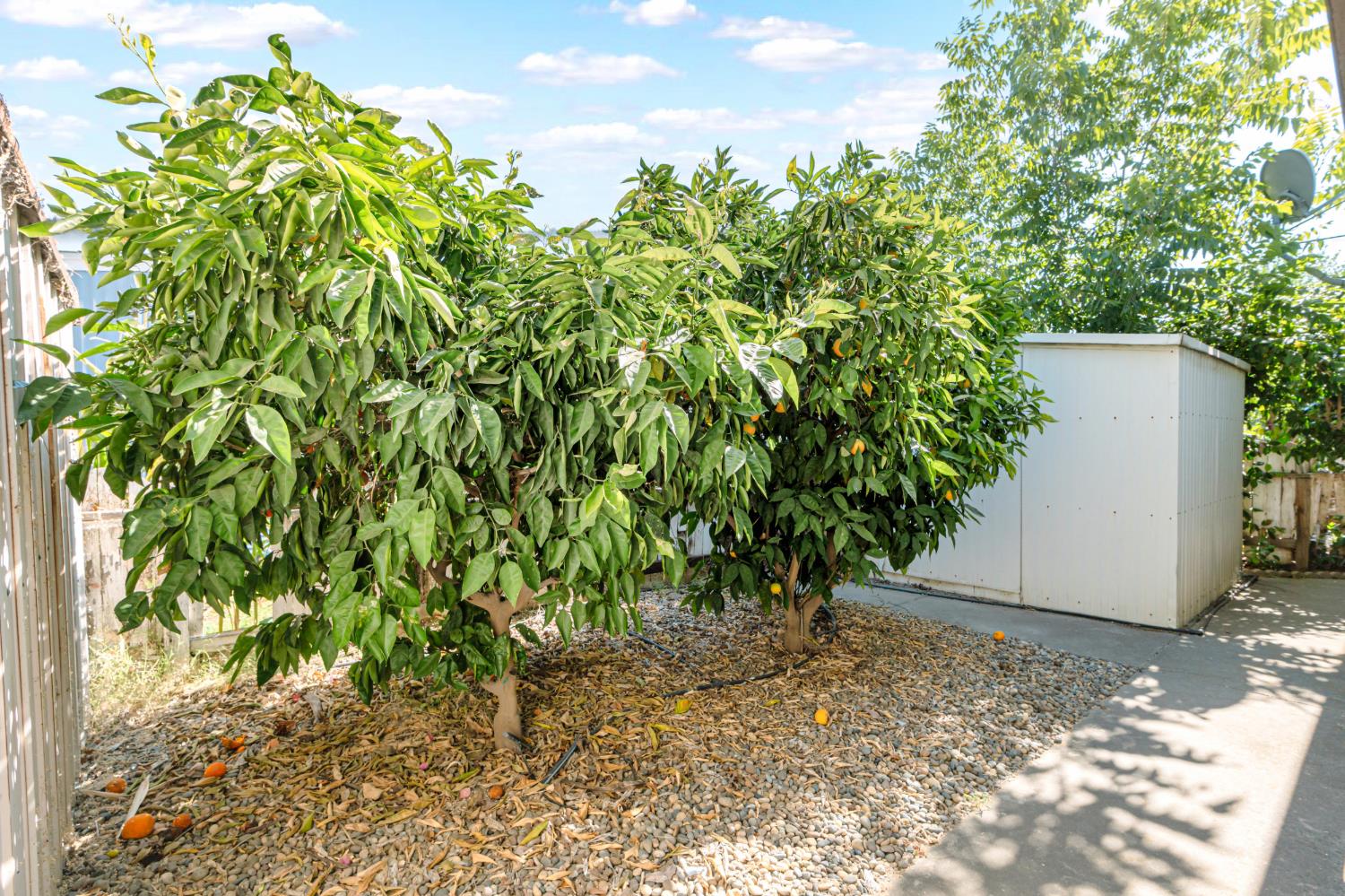 1218 E Cleveland Ave #152, Madera, CA 93638