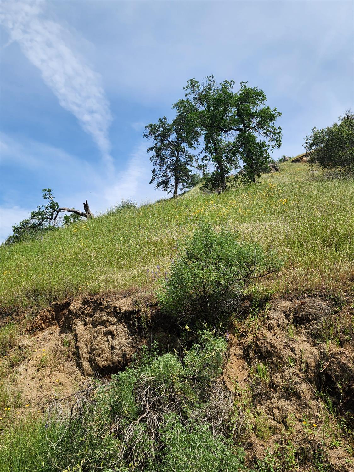 0 0 Baywood Ln, Yokuts Valley, CA 93675