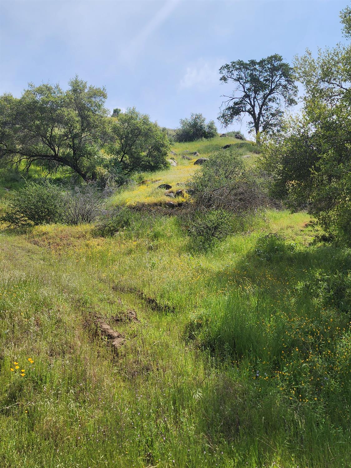 0 0 Baywood Ln, Yokuts Valley, CA 93675