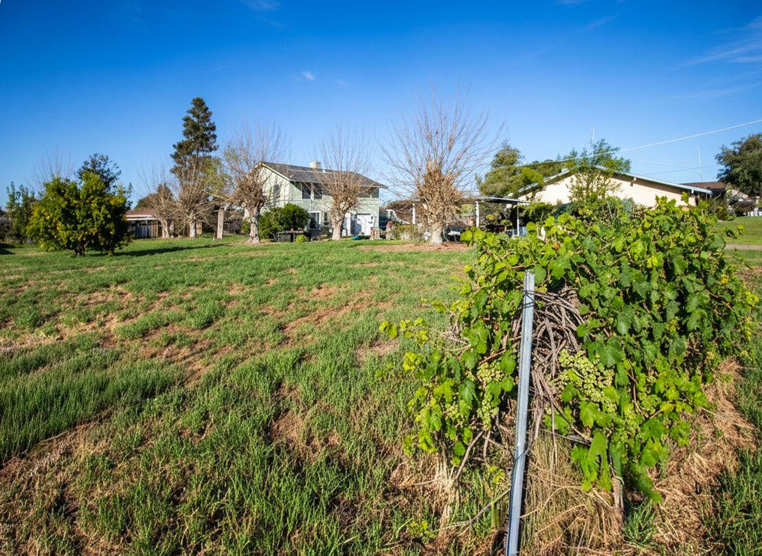 3942 E Marcus Ave, Friant, CA 93626