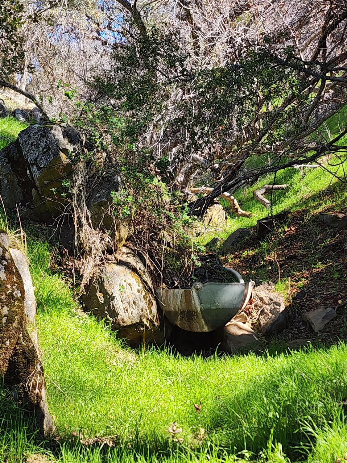 40 Seminole Rd, Tollhouse, CA 93667