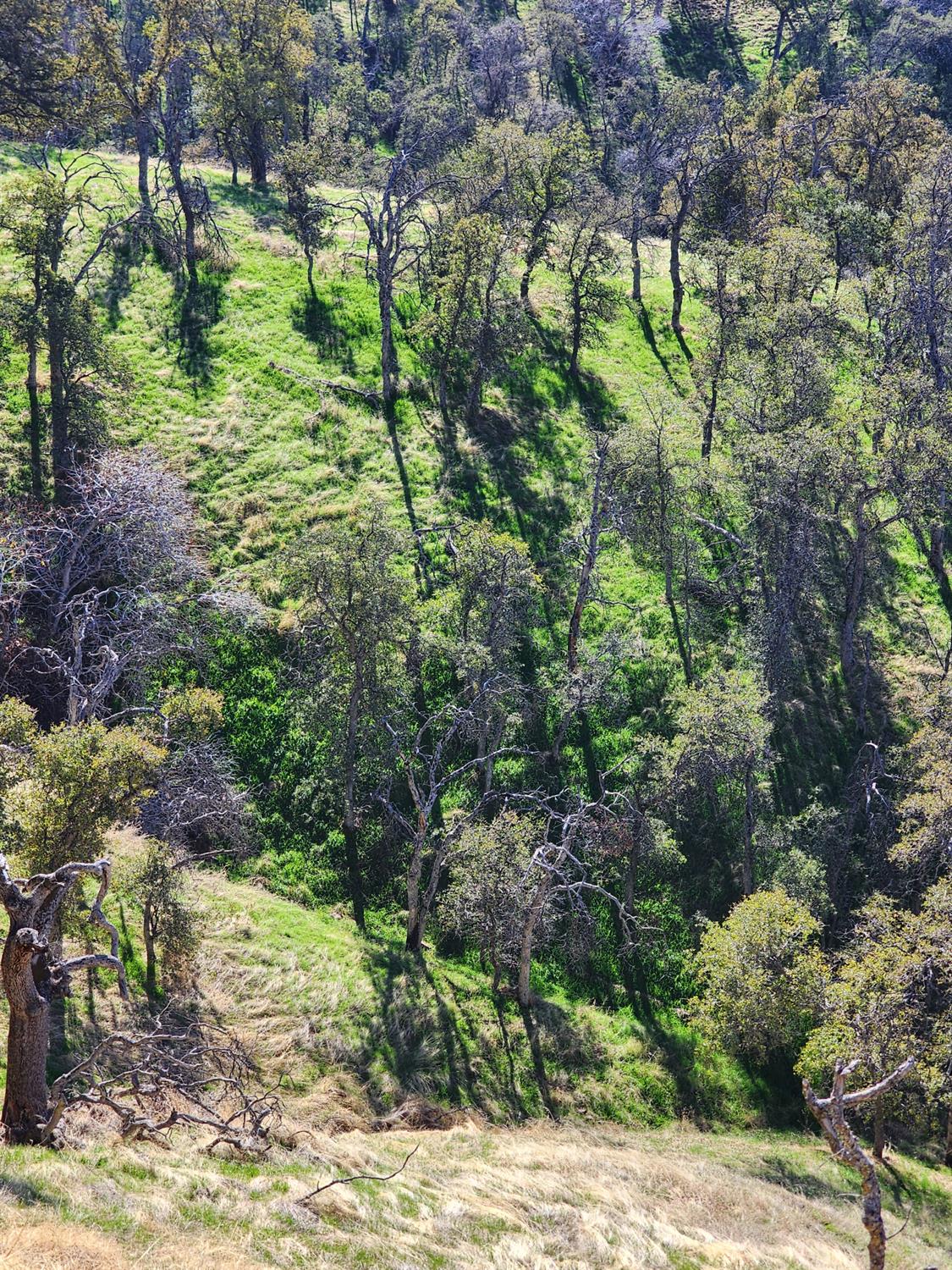 40 Seminole Rd, Tollhouse, CA 93667