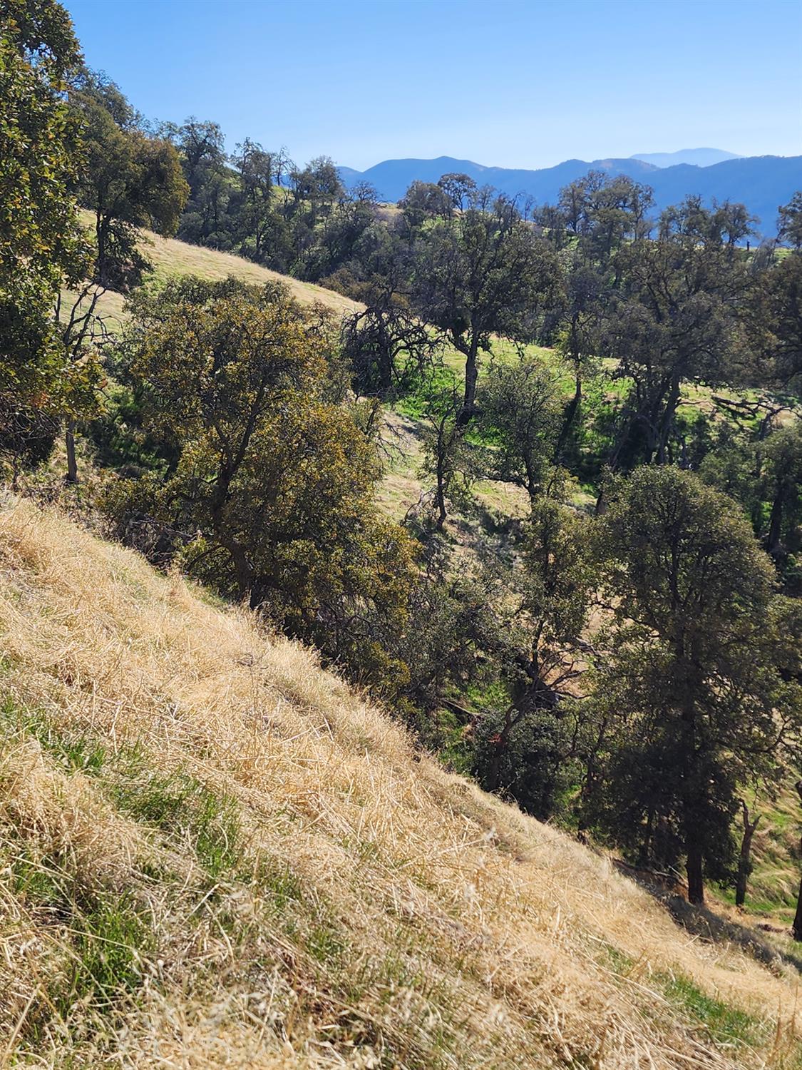 40 Seminole Rd, Tollhouse, CA 93667