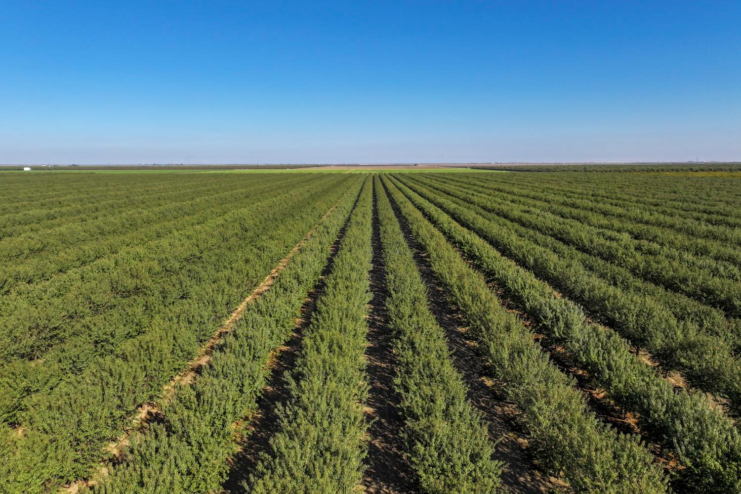 0 0 W Stutz extension, Coalinga, CA 93210