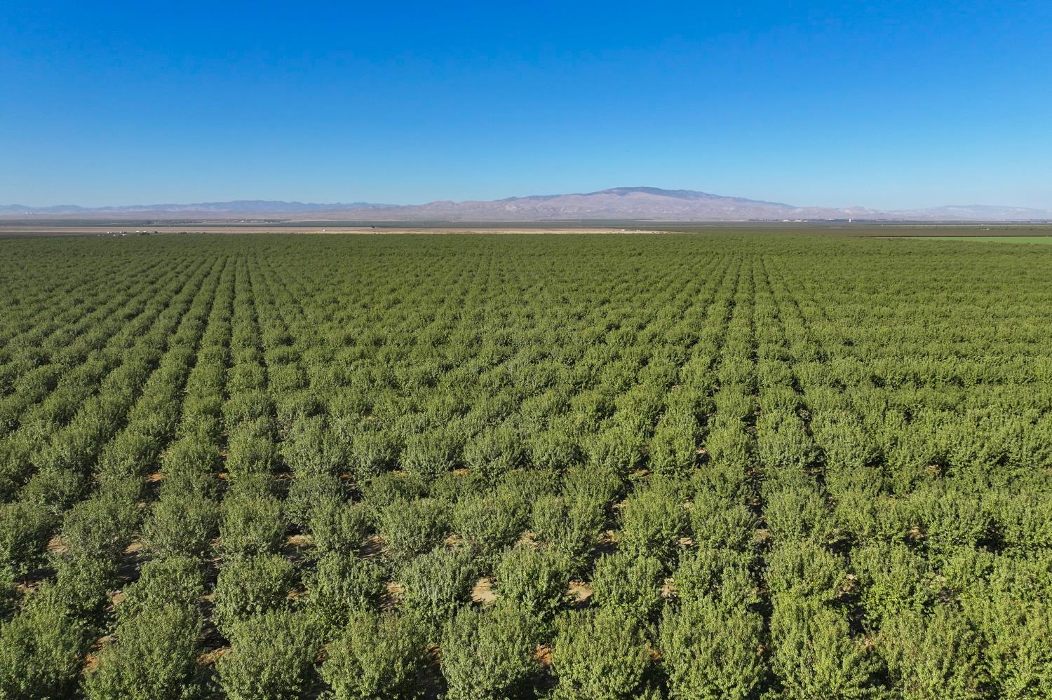 0 0 W Stutz extension, Coalinga, CA 93210