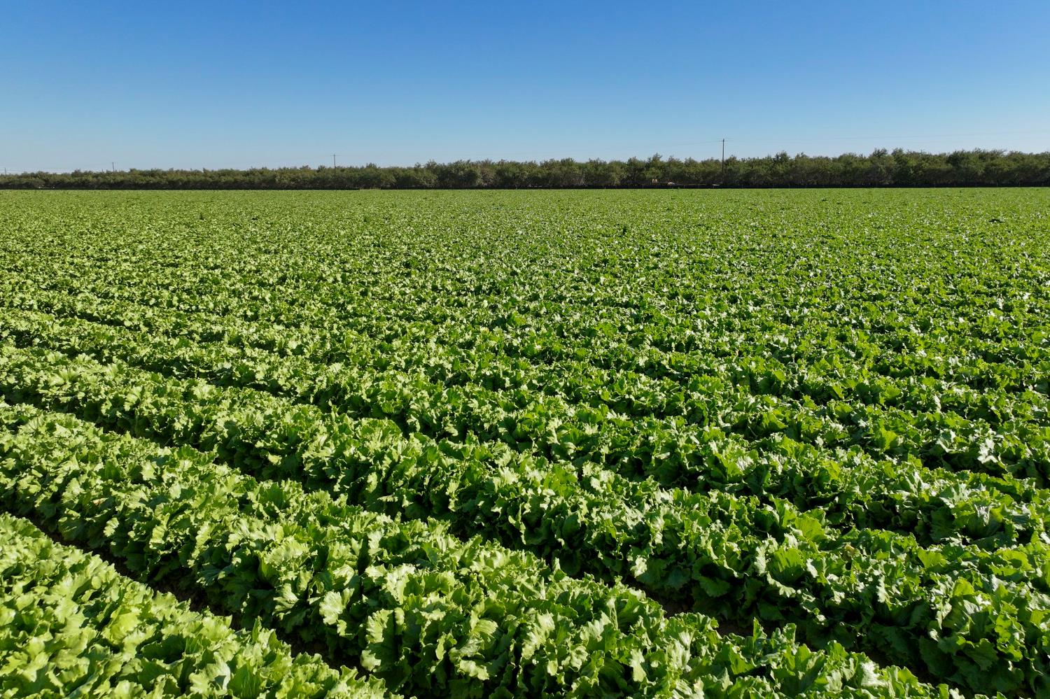 0 0 W Stutz extension, Coalinga, CA 93210