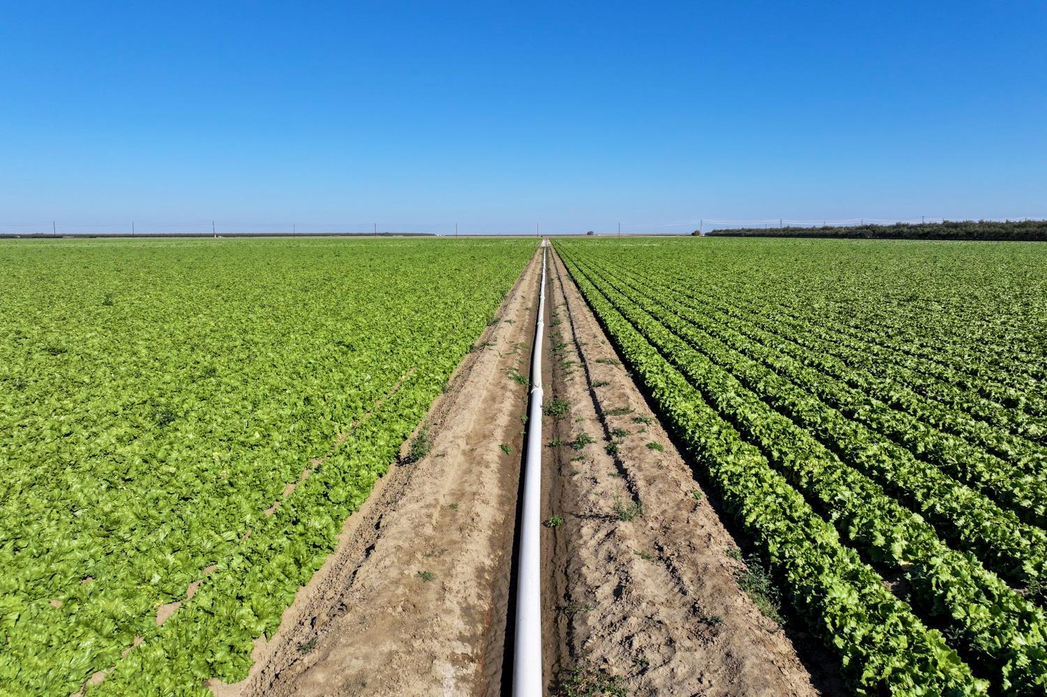 0 0 W Stutz extension, Coalinga, CA 93210