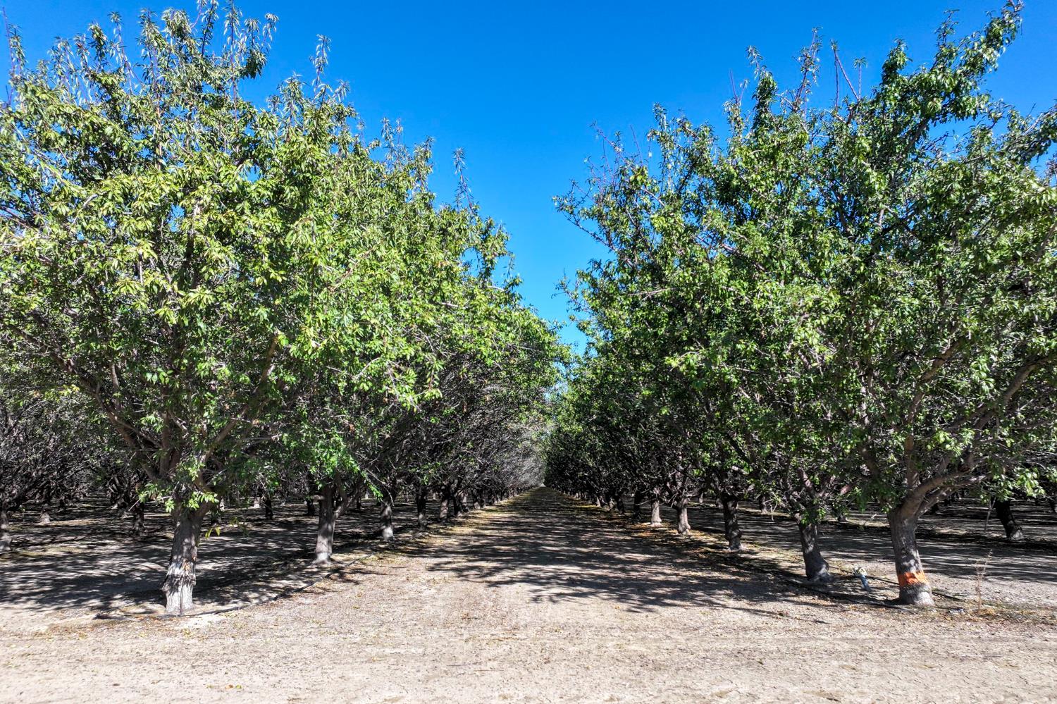 0 0 W Stutz extension, Coalinga, CA 93210