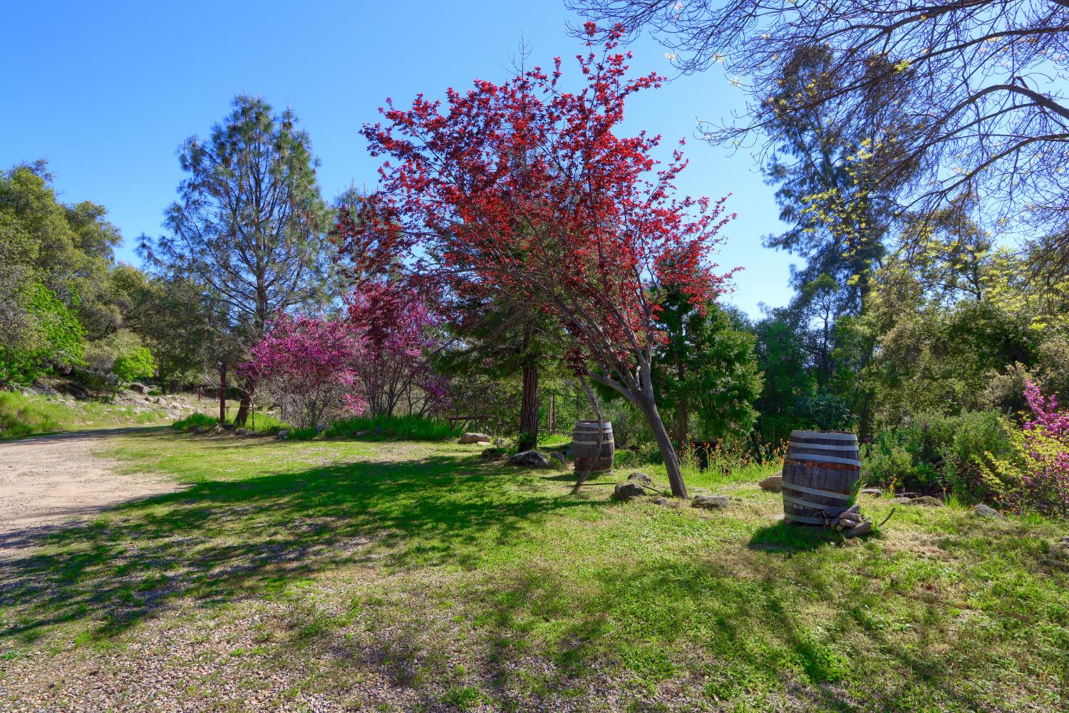 4740 Grist Rd, Mariposa, CA 95338