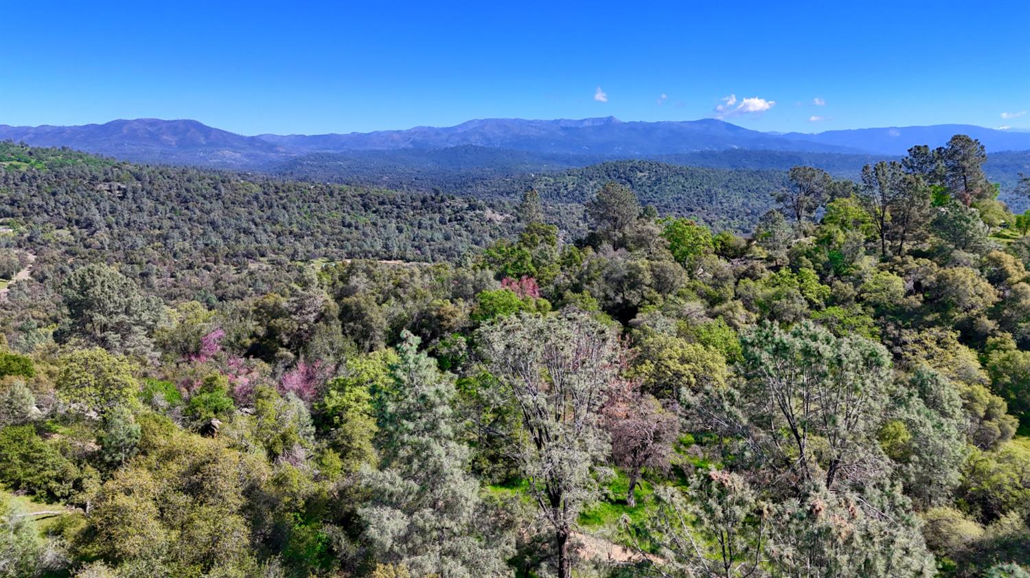 4740 Grist Rd, Mariposa, CA 95338