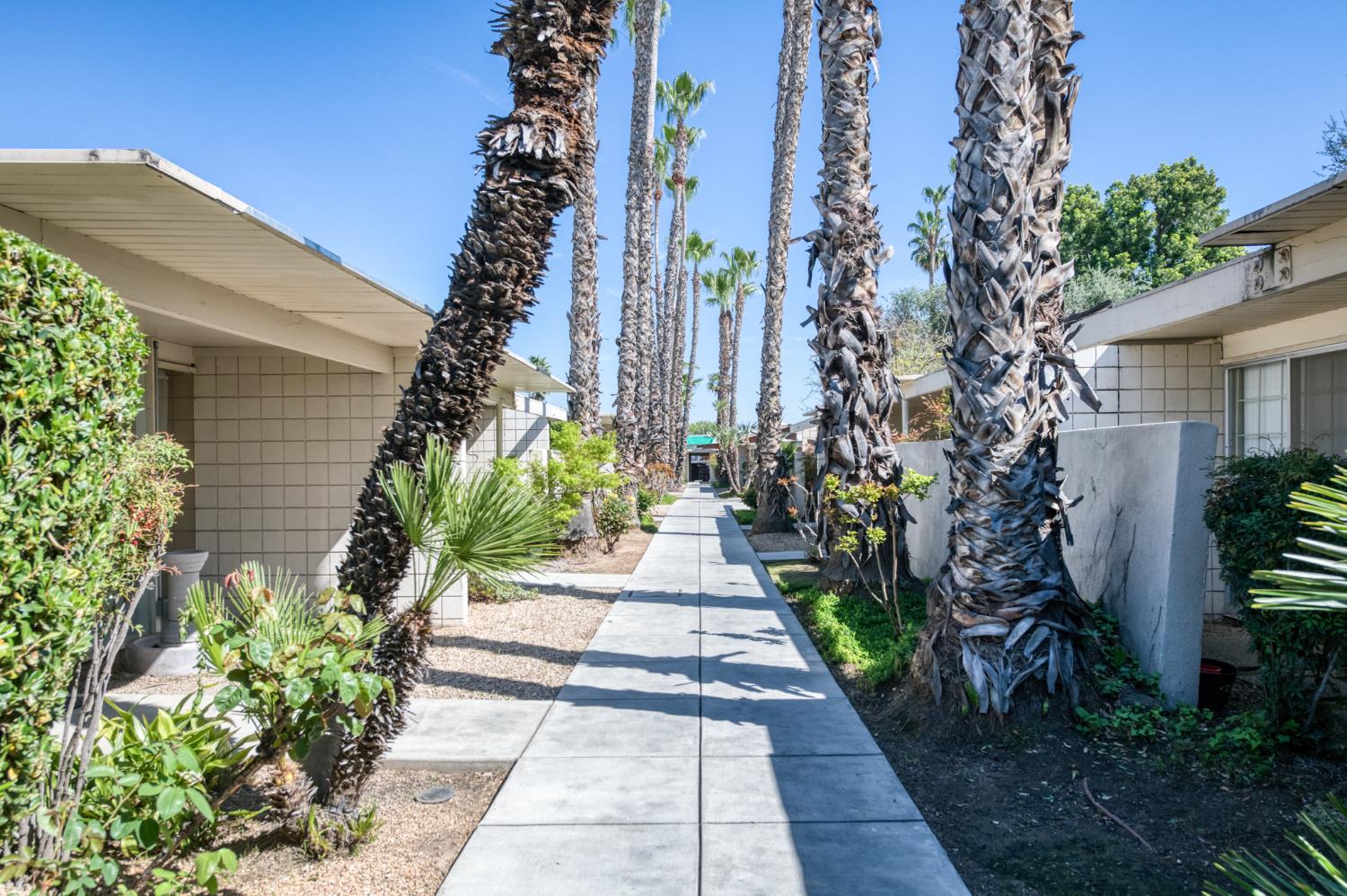 446 W Shaw Ave, Fresno, CA 93704