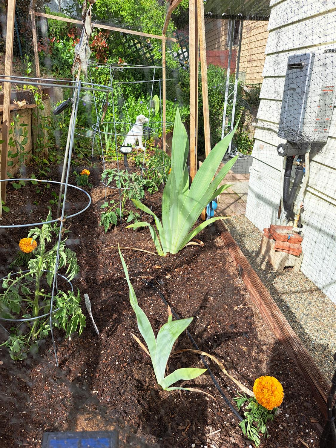 39678 Road 425 B #85, Oakhurst, CA 93644