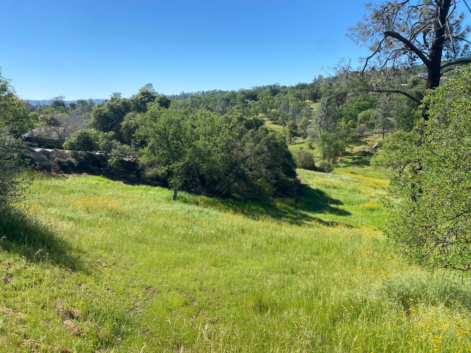 17 Titan Way, Coarsegold, CA 93614