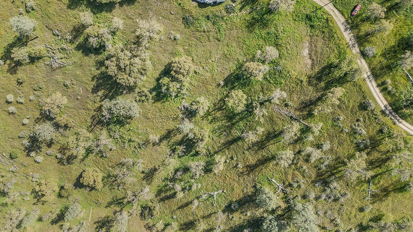 49760 Fine Gold Dr, Friant, CA 93626