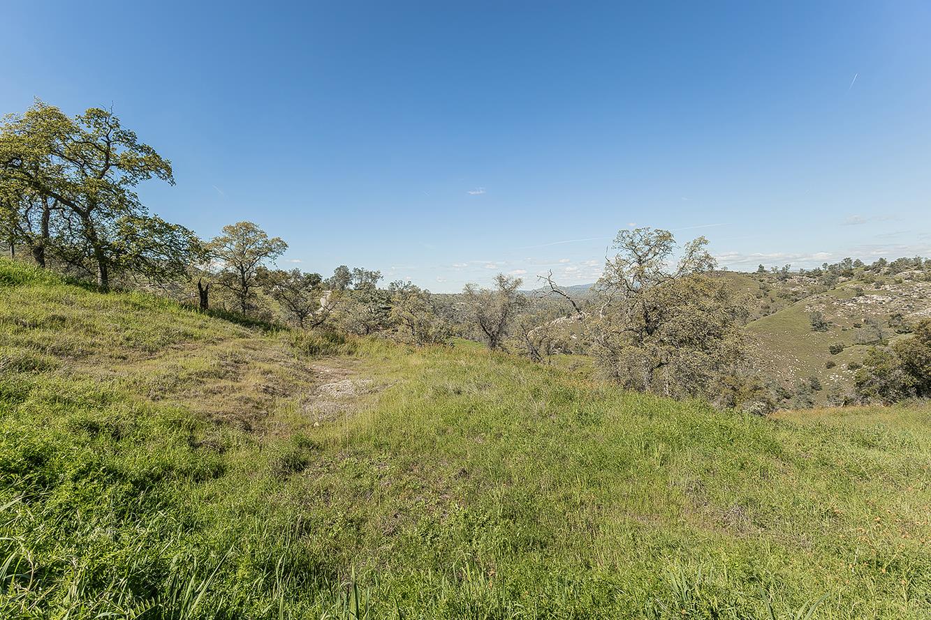 49760 Fine Gold Dr, Friant, CA 93626