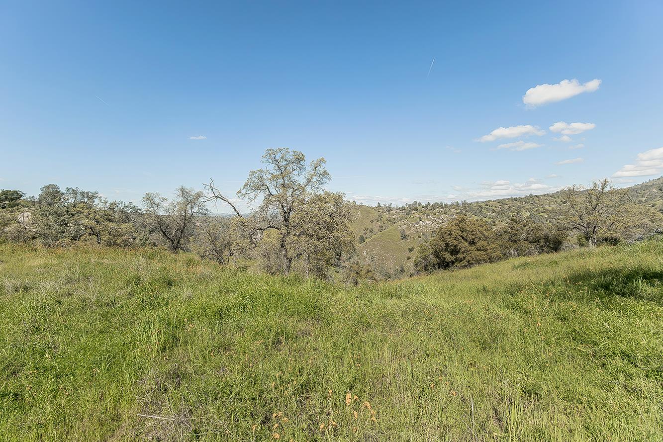 49760 Fine Gold Dr, Friant, CA 93626