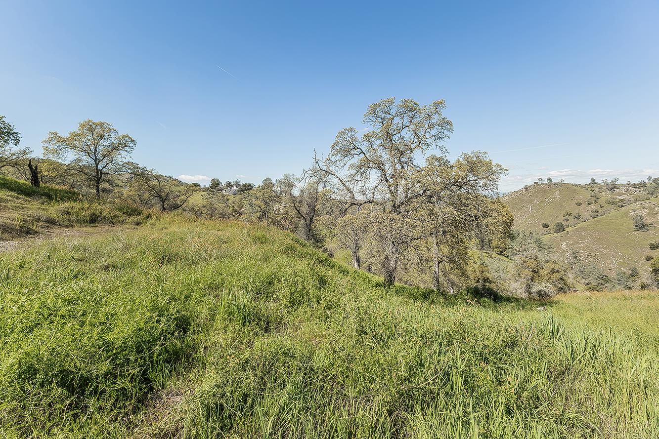 49760 Fine Gold Dr, Friant, CA 93626